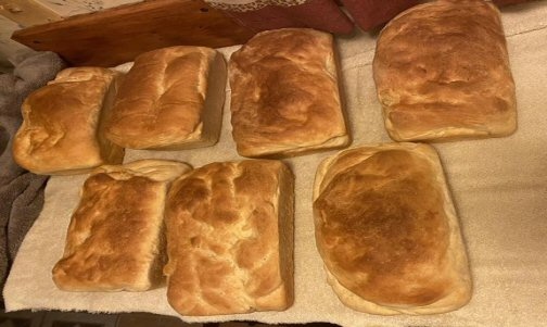 breads504