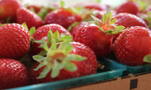 strawberries504